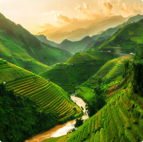 Mộc Châu 2 ngày 1 đêm